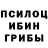 Галлюциногенные грибы Magic Shrooms Hanser a