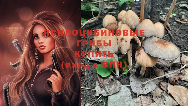 каннабис Абаза